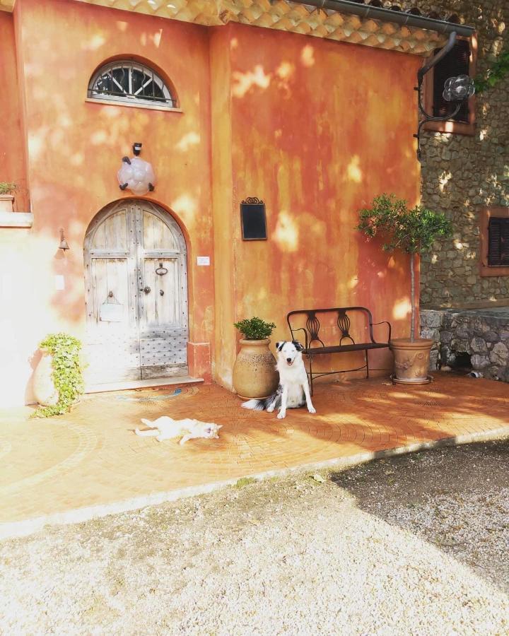 Bed and Breakfast Domaine De Sainte Annette Callian  Zewnętrze zdjęcie